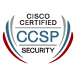 2008�N5�� CCSP�F��